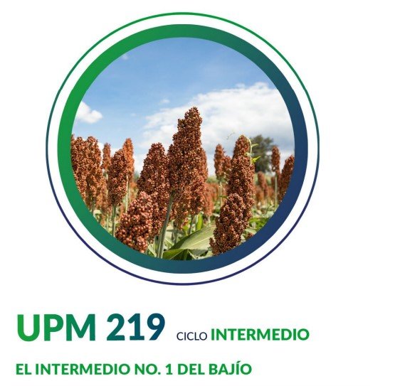 UPM 219