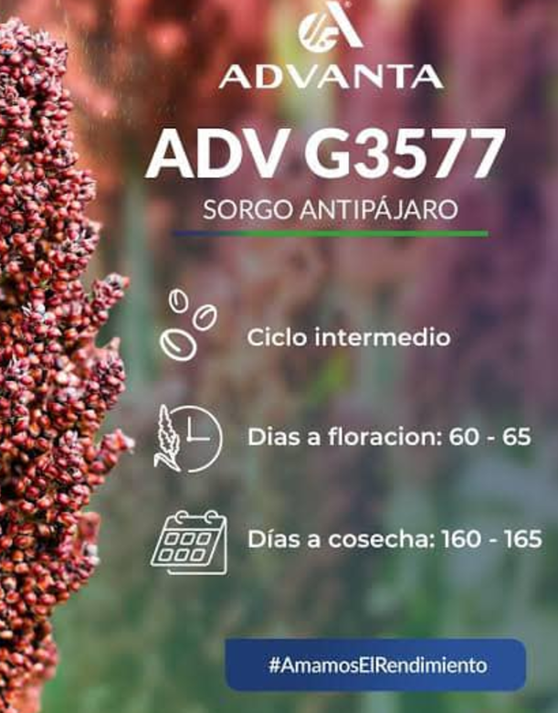ADVANTA G3577