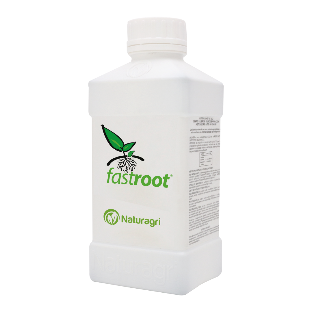 fastroot
